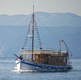 untitled design (50)