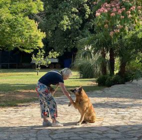 Our dog Roxy making friends with the guests